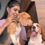 Ananya Rao Instagram - 🐶🐶🐶