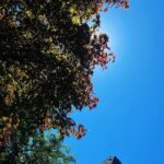 Andrew Neighbors Instagram - Lunch break sunshine West Seattle