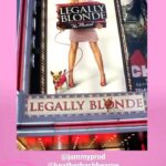 Andy Karl Instagram – My dear @michaelrupertofficial reminded us all that #legallyblonde opened on Broadway at The Palace Theatre 16 years ago yesterday 🤪🤩‼️ And made this fab 🎥 for you all💖‼️👑 And since the “experts” suggest you don’t post on a Sunday, I’M ABSOLUTELY GOING TO IGNORE THAT “RULE” 💯 Thanks as always Michael, for keeping track of all of the BLONDEAVERSARIES 😂🙌🏻 
#fullout forever @jammyprod 💖‼️
.
.
.
@jammyprod @laurabellbundy @nikkisnelsonaugh @kateshindle @moweryrusty @lesliekritzer @heatherhachhearne @annaleighashford @rialtoguy @berlonitheatricalanimals 📸 by @bruglikas 
.
.
.
#fullout #omigodyouguys #nyc #april29 #broadway #palacetheatre #openingnight #bendandsnap
