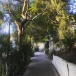 Angel Olsen Instagram - Haven’t made an organic post in a while. I’ve been busy with living and I like it. 🐓