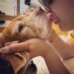 Anjali Anand Instagram - … with Dobby, it’s always Phagun ke mausam 🌻