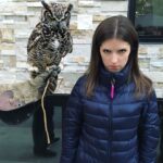 Anna Kendrick Instagram - We don't like you.