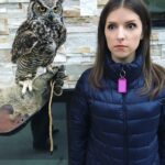 Anna Kendrick Instagram - We don't like you.