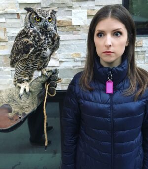 Anna Kendrick Instagram - We don't like you.