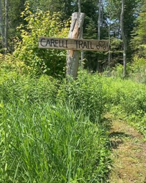 Anthony Carelli Instagram - Here’s a project I’ve been working on with the help of @dmaninc and Big Boy Marko.  Carving and maintaining a trail from my backyard over a wet area, through a forested area, and it eventually connecting to a community trail.  The log portion was a lot tougher than I expected and I kinda messed up my back for a few days.  Today I put up the sign and made it official.  It’s not finished but we’ll under way.