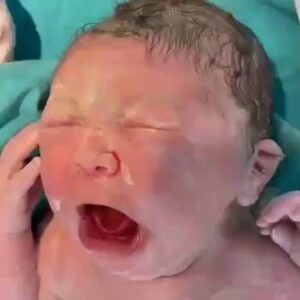 Arash Mir Ahmadi Instagram - یک فیلم زیبا و ثبت لحظه ی به دنیا اومدن انسان
واینک با اولین نفس و اولین آوا زندگی بر کره خاکی آغاز شد....

. 
#جل_الخالق
.
@arashmirahmadi
#arashmirahmadi
#آرش_میراحمدی