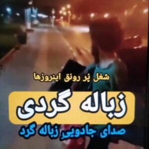 Arash Mir Ahmadi Instagram - ای گل بعد از این با هر که میخواهد دلت بنشین
که من چو لاله با داغ جفایت زین چمن رفتم