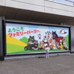Asami Usuda Instagram - 川島小鳥さんの写真展 『たくさんの今たち』へ🐣 生命力に満ちていて、じわーっと元気が出た🙌🏻🔥わたしも、生き生きと今をたくさん生きたい！そんな気持ち🙃❤️‍🔥 富山県は桜が満開だった。どこを通っても光や景色が美しかった🤳🏻✨ #たくさんの今たち