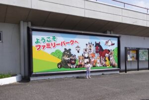 Asami Usuda Instagram - 川島小鳥さんの写真展
『たくさんの今たち』へ🐣

生命力に満ちていて、じわーっと元気が出た🙌🏻🔥わたしも、生き生きと今をたくさん生きたい！そんな気持ち🙃❤️‍🔥

富山県は桜が満開だった。どこを通っても光や景色が美しかった🤳🏻✨

#たくさんの今たち