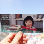 Asami Usuda Instagram - 川島小鳥さんの写真展 『たくさんの今たち』へ🐣 生命力に満ちていて、じわーっと元気が出た🙌🏻🔥わたしも、生き生きと今をたくさん生きたい！そんな気持ち🙃❤️‍🔥 富山県は桜が満開だった。どこを通っても光や景色が美しかった🤳🏻✨ #たくさんの今たち