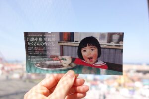 Asami Usuda Instagram - 川島小鳥さんの写真展
『たくさんの今たち』へ🐣

生命力に満ちていて、じわーっと元気が出た🙌🏻🔥わたしも、生き生きと今をたくさん生きたい！そんな気持ち🙃❤️‍🔥

富山県は桜が満開だった。どこを通っても光や景色が美しかった🤳🏻✨

#たくさんの今たち