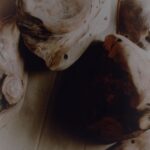 Ashima Shiraishi Instagram - Snippets from the woodworking studio with Yoshida-san @monkeyhold_japan in 大垣 (Ogaki), Japan over the summer. Shaping these holds was a lesson in allowing the medium lead to the final form rather than having the mind dictate the outcome. The practice was about inhibiting the urge to mold the wood into a shape I had pre-envisioned; instead, surrendering to the wood, imagining how best to reveal its beauty and unique form. To hold something is gratifying, but the more I climb, the more curious I become about the entire ecosystem that holds the boulders. When examined more closely, the 侘寂 of the wood is unveiled through the imperfections of the gnarled knots, the layers and swirls of age lines that hold the stories of the tree the wood came from 🤍 🌳 Thx for capturing the warmth of this day thru the lens @noahsahady & thanks for including me in another fun project :) @arcteryx + @beams_official
