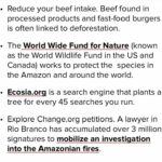 Ashleigh Cummings Instagram – The “lungs of our earth” are on fire. If our earth can’t breathe, neither can we.

Did you know this ecosystem ALONE provides 20% of the oxygen in Earth’s atmosphere & 10% of all known species?

It is vital to ALL life on Earth.
Swipe right to find out ways you can help… like reducing your consumption of animal products (most of these fires were initially lit to clear land for cattle) or even go plant-based (but check your soy and almond sources)! And support indigenous communities who are at the forefront of this fight (they’re fighting for ALL of us! See tags below)… Know that your voices & actions really do matter – on both an individual & political scale 💚 
@guajajarasonia 
@coiabamazonia 
@amazonwatch 
@amazonconservationteam 
@amazonfrontlines 
@greenpeacebrasil 
@ConservationOrg #PeopleNeedNature

Excerpts from an array of literature on the matter… (not my words!) Wildfires often occur in the dry season in Brazil, but this year has been worse than normal. Fires are deliberately started in efforts to illegally deforest land for cattle ranching.

72,000 fires have been detected between January and August & more than 9,500 forest fires since Thursday, mostly in the Amazon region.

In comparison, there were fewer than 40,000 in the whole of 2018.

So the two scariest numbers for understanding the fires are this: There are 80 percent more fires this year than there were last summer, according to the Brazilian government. This surge in burning has accompanied a spike in deforestation. More than 1,330 square miles of the Amazon rainforest have been lost since January, a 39% increase over the same period last year, according to The New York Times.

Why are these figures so important? Because Brazil’s political leadership has changed in the past year. On January 1, Jair Bolsonaro, a far-right populist who has openly pined for his country’s authoritarian past, was sworn in as president. During his campaign, he promised to weaken the Amazon’s environmental protections—which have been effective at reducing deforestation for the past two decades—and open up the rainforest to economic development. (Cntd in comments)