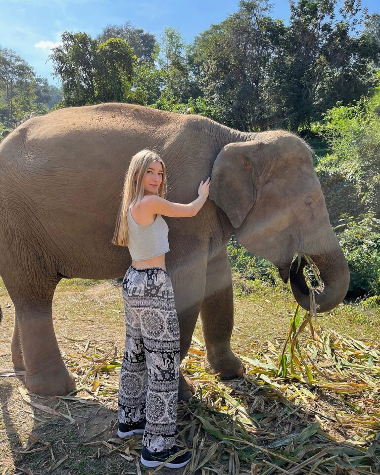 Ava August Instagram - A day I’ll never forget 🐘 Chiang Mai, Thailand