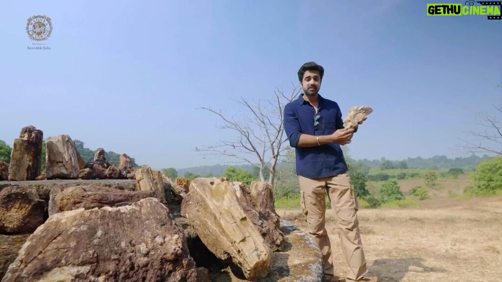 Avinash Sachdev Instagram - Unearth the secrets of the past in Madhya Pradesh’s Ghughua! 🦕💎 Dive into the rich history of dinosaur fossils, where each discovery echoes the tales of ancient giants. Explore the Jurassic wonders that make MP a paleontological treasure trove! #GhughuaCrater #FascinatingDiscoveries #MPGeologicalWonders #EPICChannel #TravelWithPurpose #DiscoverMadhyaPradesh #ExploreNature @theepicon @geologicalsurveyofindia