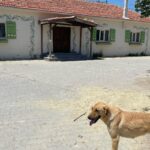 Bade Işcil Instagram -