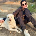 Barkha Singh Instagram - Walter didn’t want to cook today Also, #2024 yaaaaaa lovelies! 💗💗 getting back soon and I cannot wait to share photos from this magical trip with you lovelies 🤗✨ Before you ask the boss doggo is pahadi and my boss hoodie is from @graykloud 🖤 @easel_stories @oakpinionpr #happynewyear #newyear #doggo