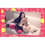 Bea Hayden Kuo Instagram - 新年快樂，雞年如意，萬事雞利，大雞大利🌹❤️🐣🐥🐶 #郭碧婷 #guobiting #beahayden