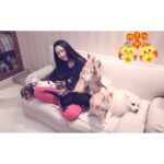 Bea Hayden Kuo Instagram - 新年快樂，雞年如意，萬事雞利，大雞大利🌹❤️🐣🐥🐶 #郭碧婷 #guobiting #beahayden