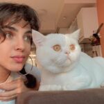 Begüm Akkaya Instagram - Such a Turtik day🐾