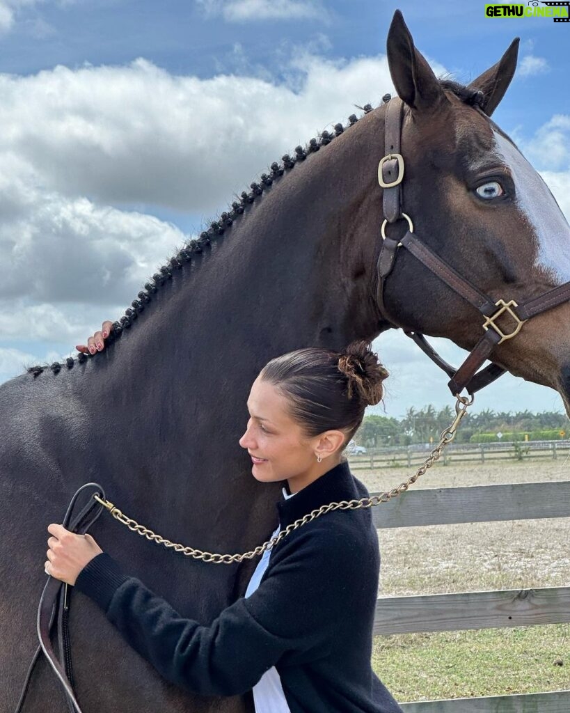 Bella Hadid Instagram - Thank you to all the great trainers and people who allowed me to ride their incredible horses🙏🏽 And my Lucy , Blue , Ami 🤍 I love these animals Wellington International