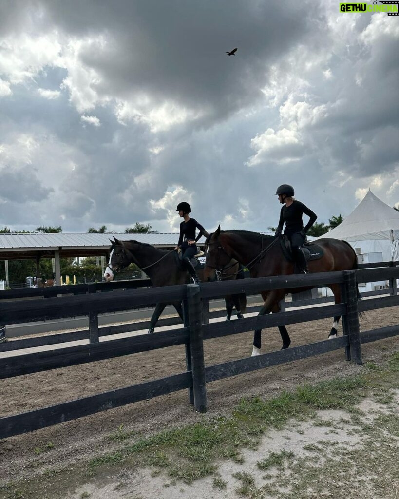 Bella Hadid Instagram - Thank you to all the great trainers and people who allowed me to ride their incredible horses🙏🏽 And my Lucy , Blue , Ami 🤍 I love these animals Wellington International