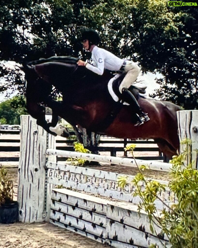 Bella Hadid Instagram - Thank you to all the great trainers and people who allowed me to ride their incredible horses🙏🏽 And my Lucy , Blue , Ami 🤍 I love these animals Wellington International