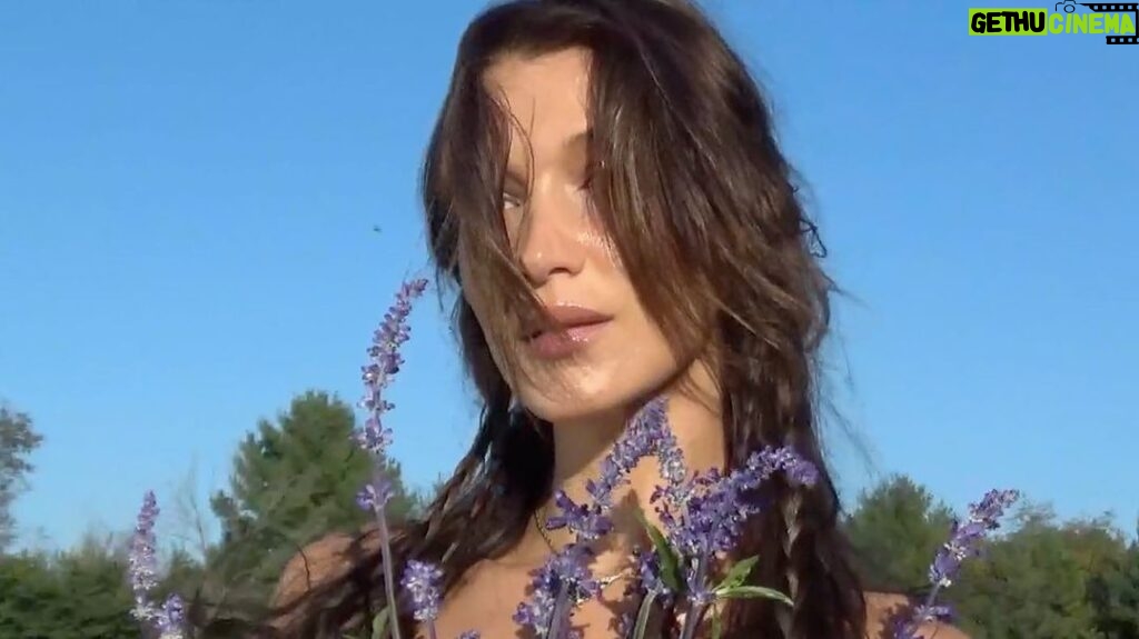 Bella Hadid Instagram - Little miss lavender ™️ 💜