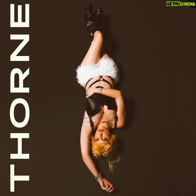 Bella Thorne Instagram - DEVOTION TO THORNE 🖤 @thornedynasty Los Angeles, California