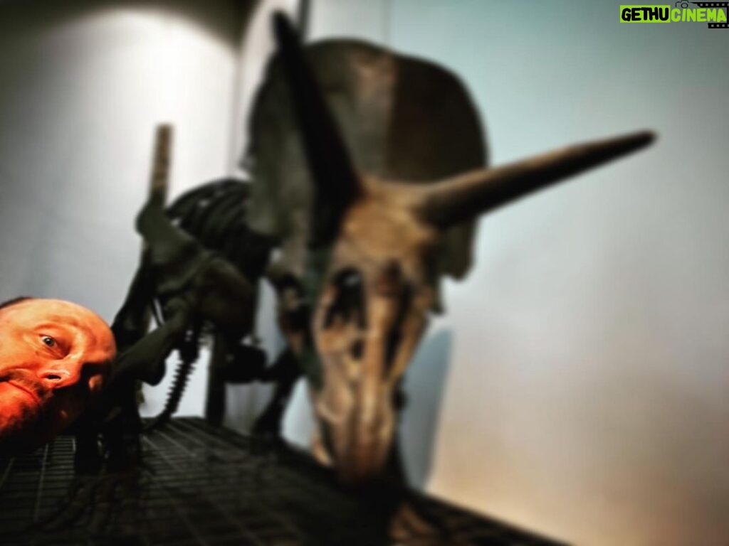 Bernhard Hoëcker Instagram - Vor bestimmt 45 Jahren war ich das letzte mal hier, Der dreihörnige Kollege ist kein bisschen älter geworden. Vielleicht liegt es an der ausgewogenen Ernährung und der sparsam eingesetzten Bewegung. @senckenbergworld #senckenbergmuseum #triceratops