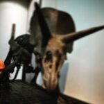 Bernhard Hoëcker Instagram – Vor bestimmt 45 Jahren war ich das letzte mal hier, Der dreihörnige Kollege ist kein bisschen älter geworden. Vielleicht liegt es an der ausgewogenen Ernährung und der sparsam eingesetzten Bewegung.
@senckenbergworld 

#senckenbergmuseum #triceratops
