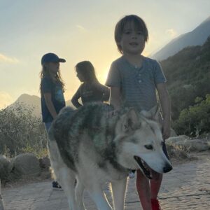 Bianca Roe Instagram - New Beginnings... In the Field Family turns the page onto the next chapter. Land Regeneration, Ranch Life.. baby steps for now as we learn from those who devote themselves to a sustainable path forward. Thank you for being there for us.. @ojaipermaculture @shepherdess.land.and.livestock @farmerandthecookojai @kisstheground @ojaioliveoil @regenerateojai we thank the elders who came before us and ask the Chumash for their blessing - thank you Julie for coming to visit us, please protect this land and our beloved Ojai Valley: 📷 @bluegabor
