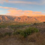 Bianca Roe Instagram - Ojai Staycation.. Closing out the last days of this decade. We’ve chosen to connect with the land that surrounds us, with produce from the local farmers markets.. living with a small foot print and connecting with each other. Home goods now available to purchase please email info@inthefieldojai.com Ojai, California