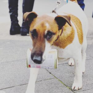 Billy Boyd Instagram - Hey guys, I have heard of lots of new accounts from me, they are not real. Only this account is mine. Hope everyone is doing good in this strange time. Sending love x ( here’s a dog I met in Düsseldorf who carries his own dinner home)