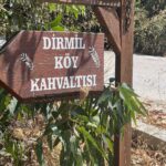 Birol Güven Instagram - Bodrum Yalıkavak’ta “ muhteşem “ bir kahvaltı. Kişi başı 250 TL , kredi kartı geçmiyor. #iyiyemeginayaginagidilir