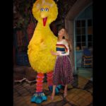 Blake Lively Instagram - Still geeking out😍. Kids used to make fun of me in elementary school by calling me Big Bird (because I was “too tall” and had “yellow” hair). Here’s to making best buddies with the things that once hurt you 🥂💗