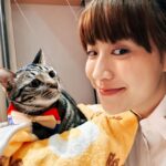 Bonnie Wong Instagram - Captain Meow-vel 🔥❤️‍🔥 #好鍾意呢個CaptainMarvel小bowtie ☺️ #玩咗成晚😂 #希望Dirty下次可以cast中Marvel啲戲 #咁我就可以做星媽