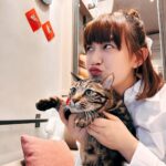Bonnie Wong Instagram - Captain Meow-vel 🔥❤️‍🔥 #好鍾意呢個CaptainMarvel小bowtie ☺️ #玩咗成晚😂 #希望Dirty下次可以cast中Marvel啲戲 #咁我就可以做星媽