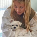 Brooke Sorenson Instagram - Rest easy our sweet Sophie girl. Our family isn’t complete without you and our hearts will hurt every day. 10 years of pure joy. Thank you for loving us & letting us love you, missing you endlessly 🕊️👼🏼 🤍
