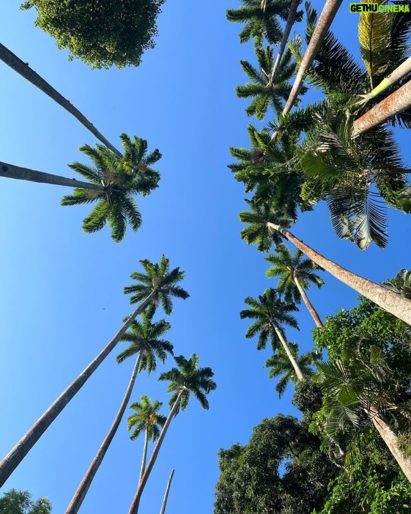 Bruna Aiiso Instagram - Uma eterna turista por aqui…☀️ Rio de Janeiro, Rio de Janeiro