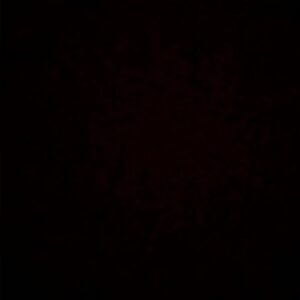 Bryce Dessner Instagram - 