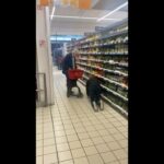 Élie Semoun Instagram -
