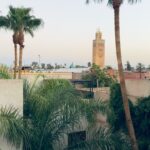 Ólafur Arnalds Instagram – Moroccan days. ➡️ Swipe for Turtle salad 🐢🍃