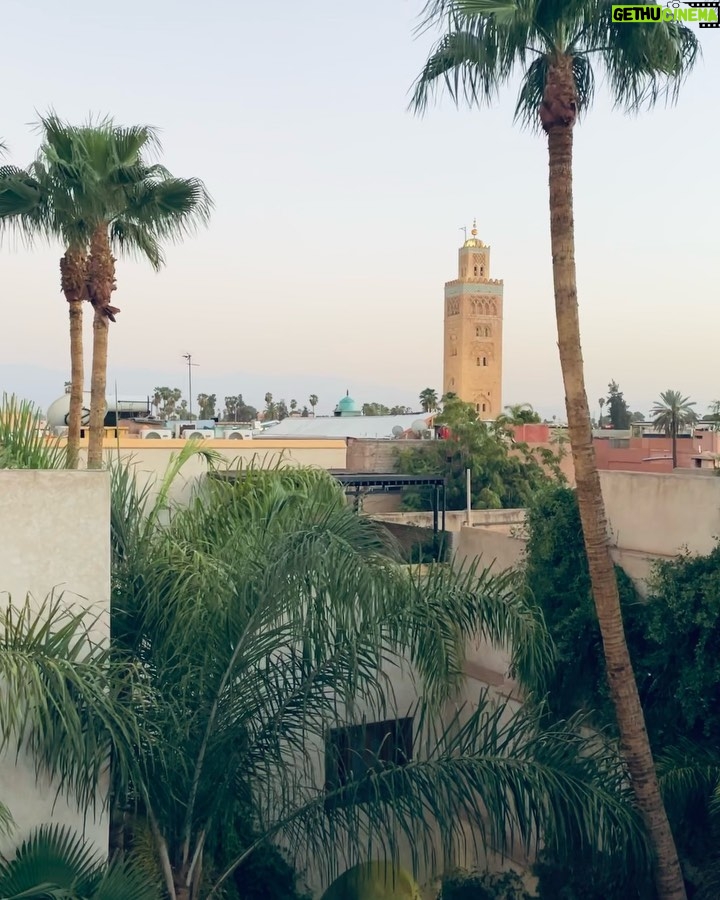 Ólafur Arnalds Instagram - Moroccan days. ➡ Swipe for Turtle salad 🐢🍃
