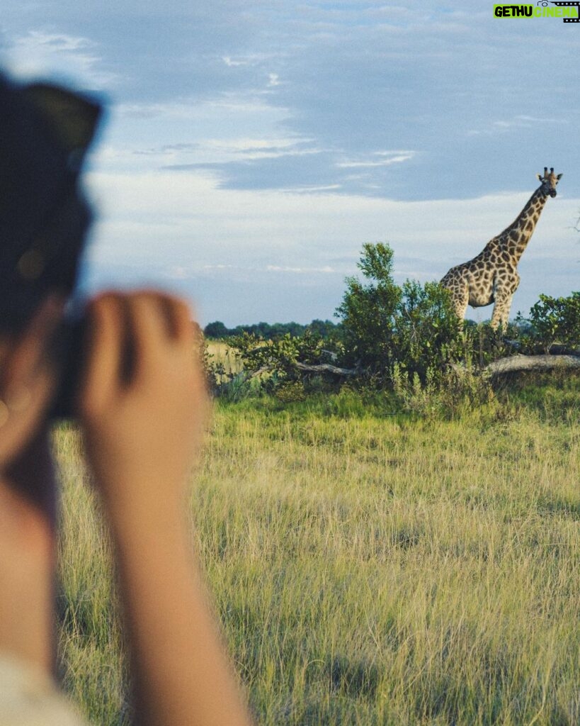 Ólafur Arnalds Instagram - Some of the best of times through my lens. Took some time off the last few weeks to explore, build and learn. 1. My two favorite things. @sandrayati and a giraffe 😍 2. This guy standing in between me and my afternoon nap 3. 😆 4. We are tourists in matching outfits now.. 5. Playing Rossini's PianoForte (apparently!?). Lake Como - italy. 6. When the captain found my music 7. My legs are still sore from this walk to a Crotto on the mountain top. Was worth it for the gnocchi. 8. ❤ 9. Okavango Delta - Botswana