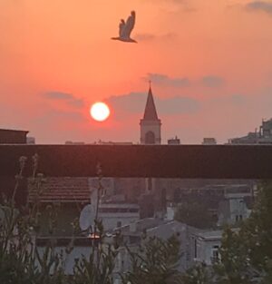 Özlem Akınözü Instagram - Home🙏🏻🙏🏻🙏🏻