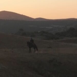 Şendoğan Öksüz Instagram - Redkid te kimmiş