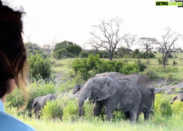 Camila Cabello Instagram - These look like pictures you find on Google but they were REAL PICTURES WE TOOK FROM OUR DRIVES WHAT IS HAPPENING. Singita reserve was clearly the stuff of my dreams. Thank you, Tanzania. God bless you, Africa. Thank you, @grumetifund for being one of the most comprehensive, holistic, impressive conservation organizations I’ve ever seen. my heart will miss Africa every second I’m not there