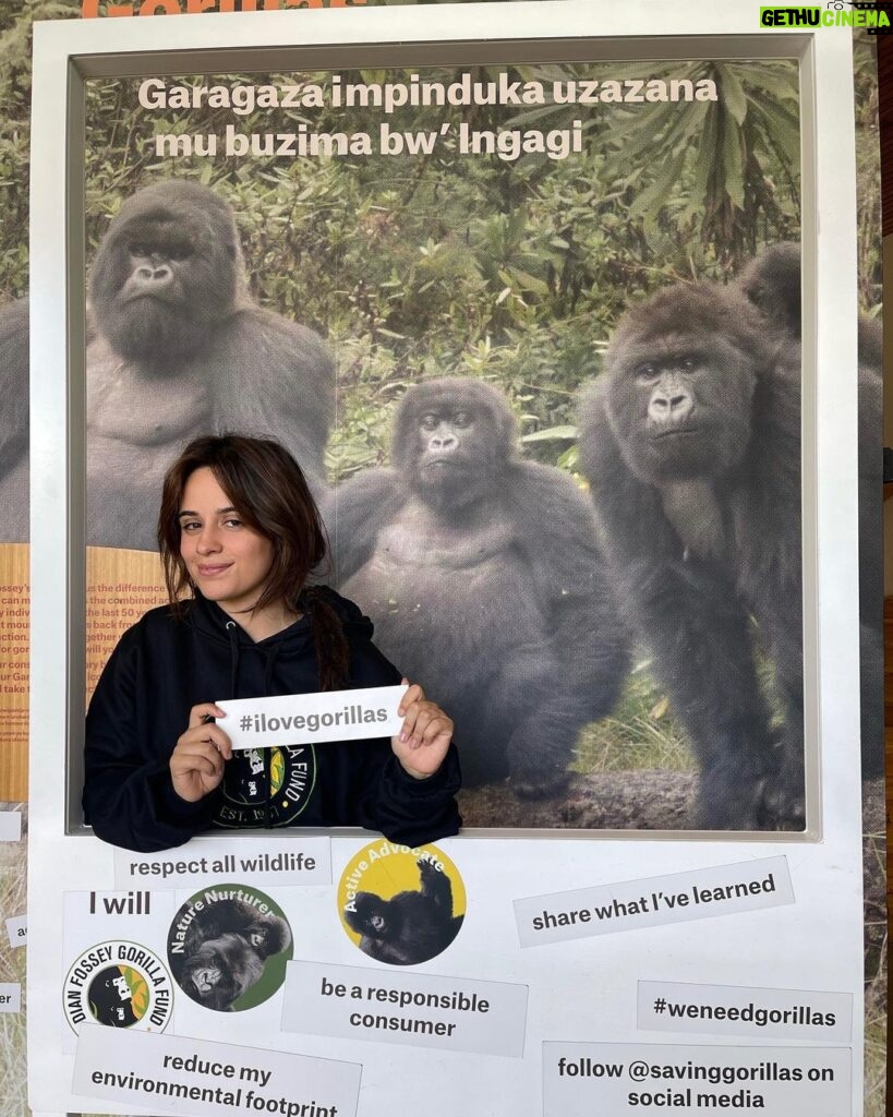 Camila Cabello Instagram - i never imagined in my wildest dreams i could one day hike in the rainforest and be able to… look in the eyes of a Silverback gorilla and literally bow in his presence. And to know that we could have an experience like this and be able to share space with these noble giants, is all made possibly by people dedicated to their conservation and protection and to know that it was good for both wildlife and the local communities was CRUCIAL. I fell in love with this place and the people we met along the way..(shout out to my friend Francois Bigirimana!!!) they have exponentially brought up the number of gorillas and are efficiently helping to save these precious creatures from extinction. Also we were able to visit Kigali and go to the Rwandan Genocide museum. Rwandans are such a compassionate, resilient, strong people 🙏🏼 literally feel like the luckiest person in the world to have gotten to experience this place, and it’s human people and non human people aka Gorillas 🦍 MURAKOZE CYANE ❤️ 🇷🇼 🦍1st Family @kwisanga_family 🦍2nd Family @muhoza_family ❤️ #thedianfosseygorillafund Volcano National Park, Rwanda