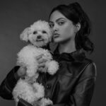 Camila Mendes Instagram - truffle turns 3 today 😭 happy birthday little angel